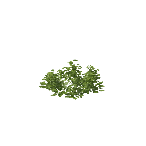 Plant 35_LOD_2